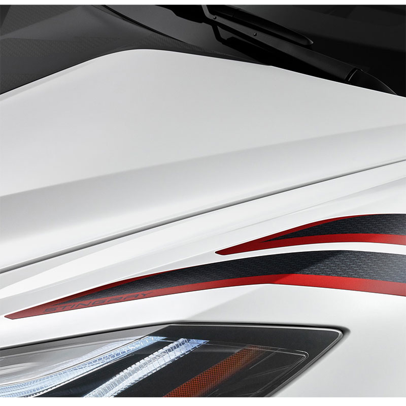 20-22 Corvette C8 GM OEM Hash Marks Carbon Flash Metallic w/ Edge Red Accents 