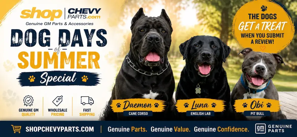 Dog Days of Summer Sales